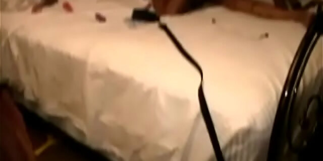 anal,black,ebony,lesbian,pussy,toys,wild