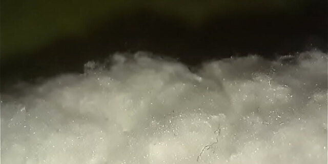 blowjob,wife