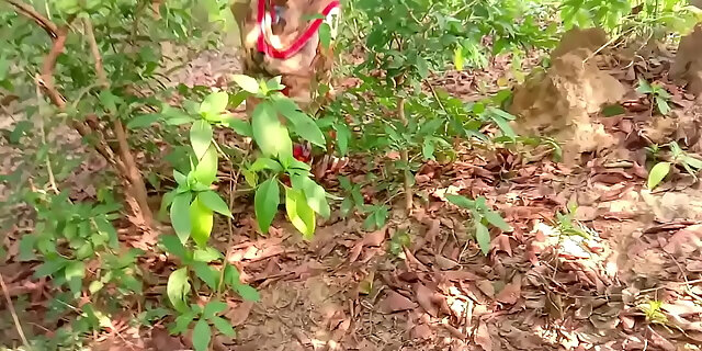 indian,outdoor,public,sex,teen